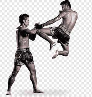 Muay Thai training at Olympia